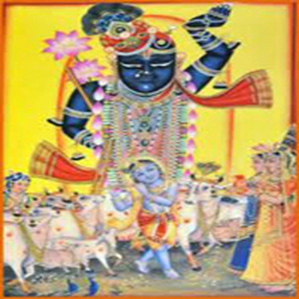 શ્રીનાથજી મનોરથ 4