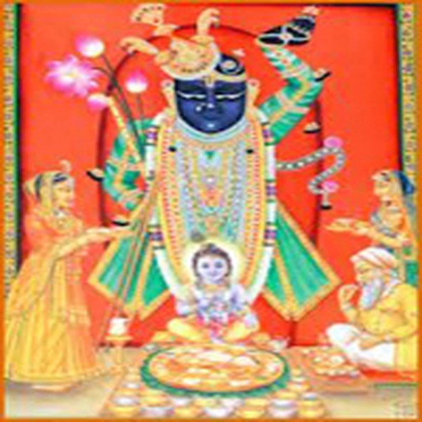 શ્રીનાથજી મનોરથ 6
